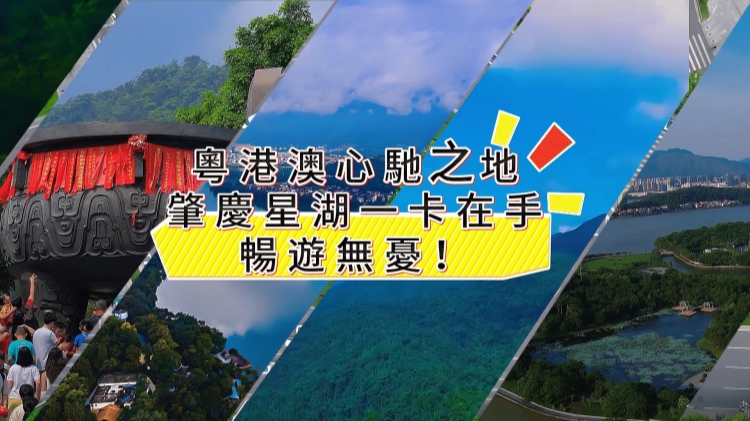 有片丨粵港澳心馳之地·肇慶星湖 一卡在手，暢遊無憂！
