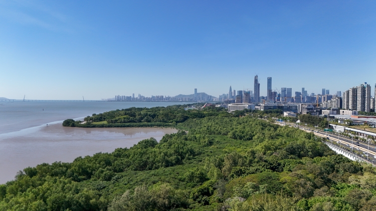 深莞惠聯合出台廣東省首個都市圈生態環保規劃