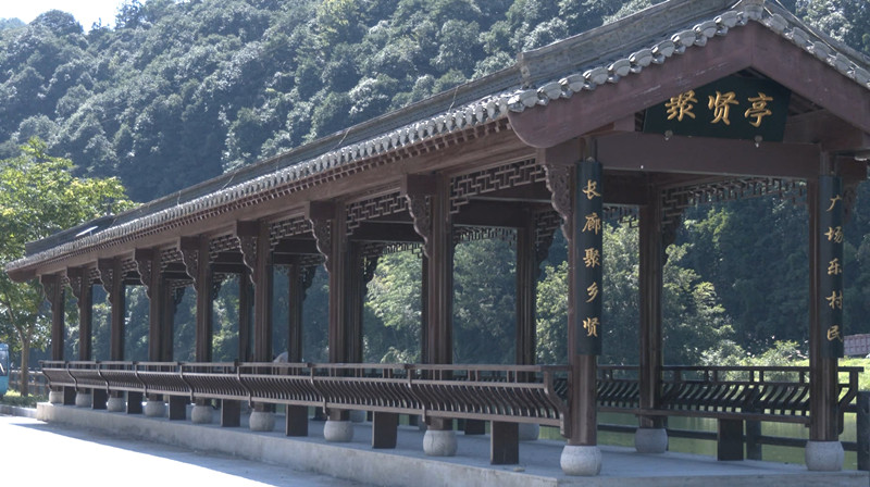 皖歙縣：黨建引領繪新景 鄉村蝶變展新顏