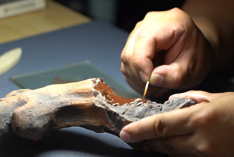 高句麗文化煥發新的時代光彩（之四）考古訓練營——讓遊客深度感受高句麗文化