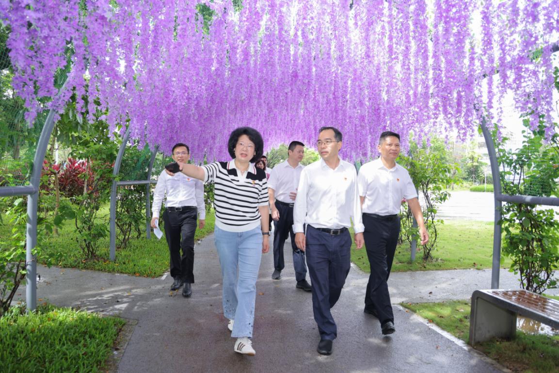 公園裡的黨群服務中心 深圳園山街道打造無界融合红色地標
