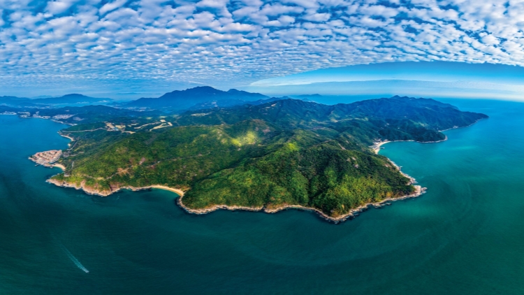 深圳大鵬：以招商引資新突破助推經濟高質量發展