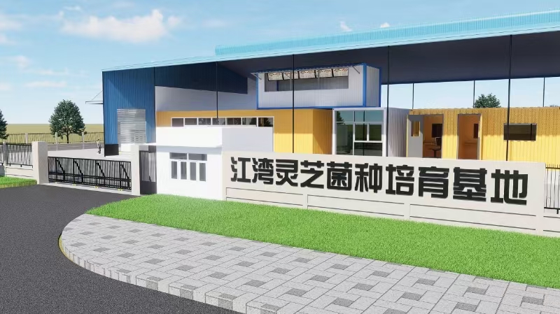 粵北武江區江灣鎮：探索林下經濟密碼 開啟「致富之傘」