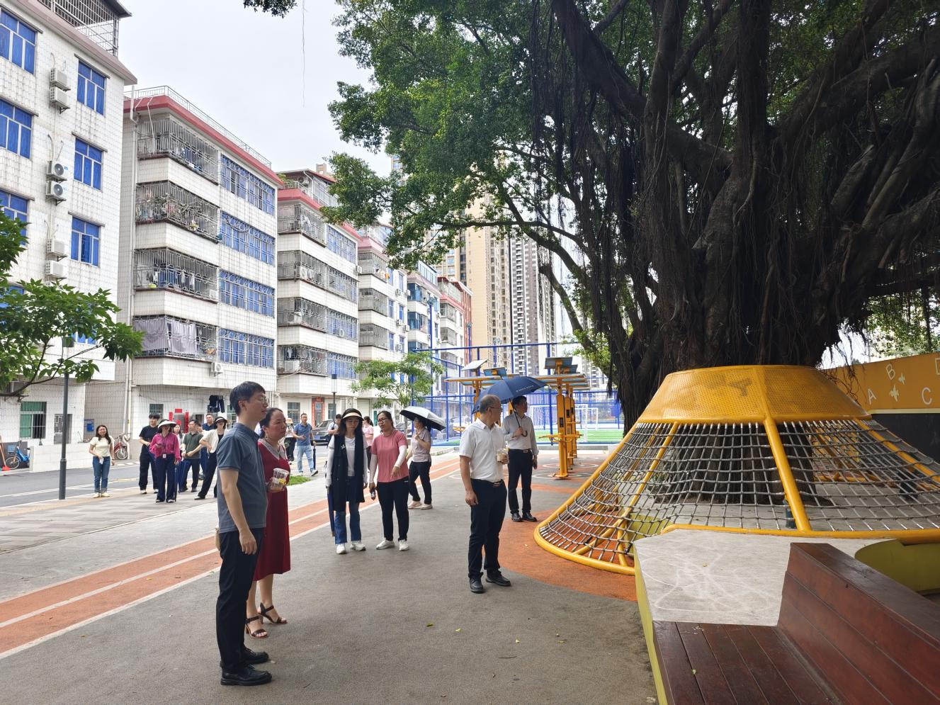 深圳平湖：打造「四有」城區治理典範 良策賦能雙輪驅動