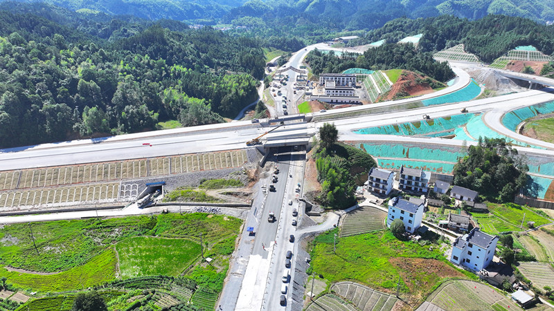 戰高溫搶進度  德上高速祁門至皖贛界段建設「提速」