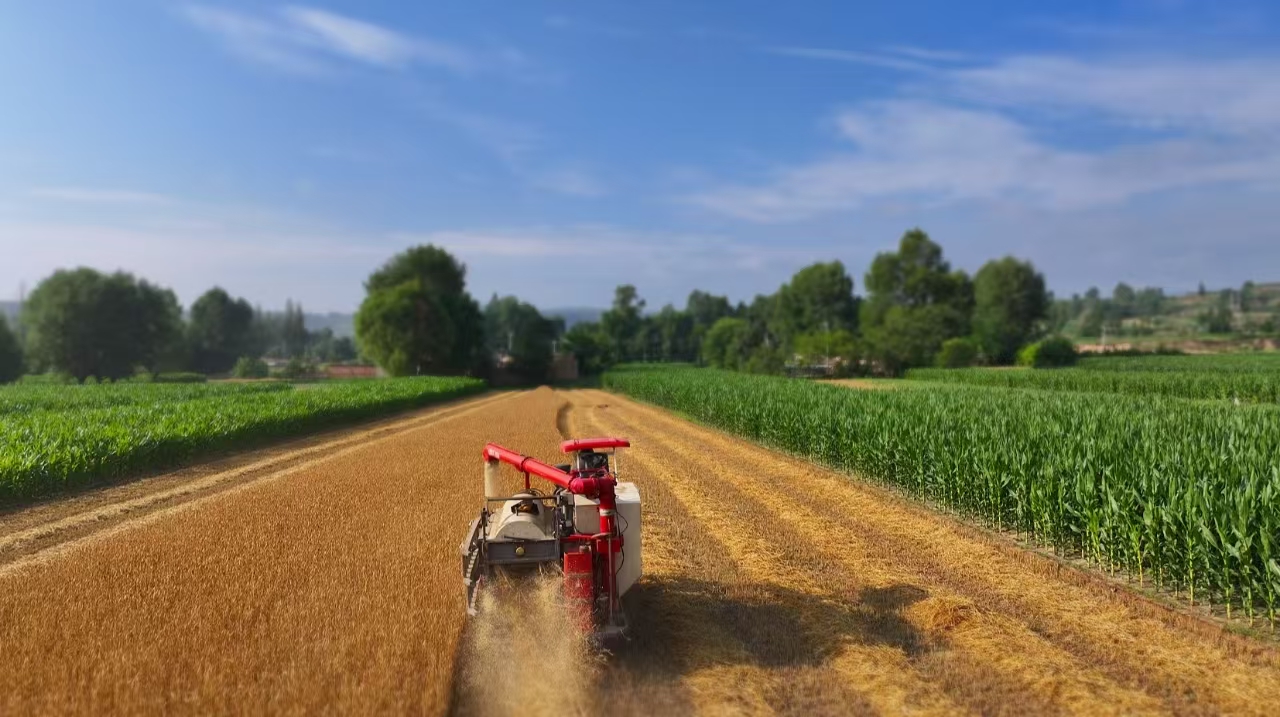 甘肅渭源夏收加速度：服務網保障「顆粒歸倉」