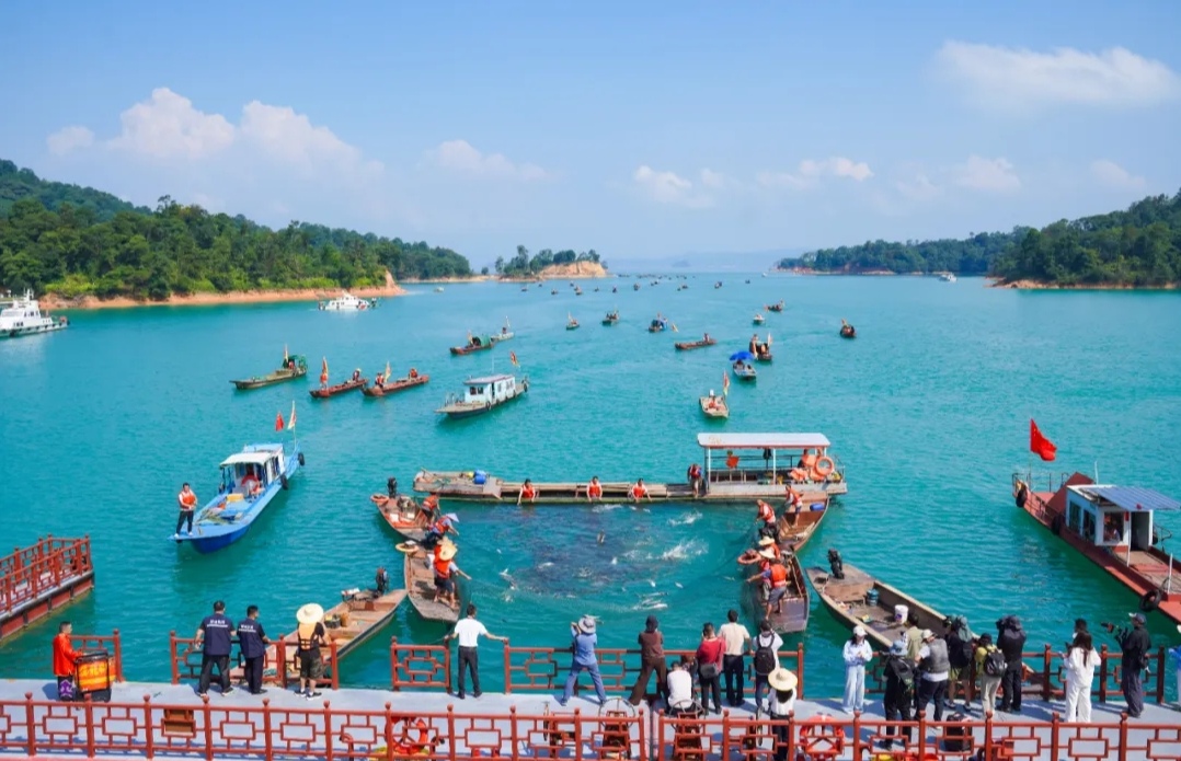 河源萬綠湖開漁活動啟幕