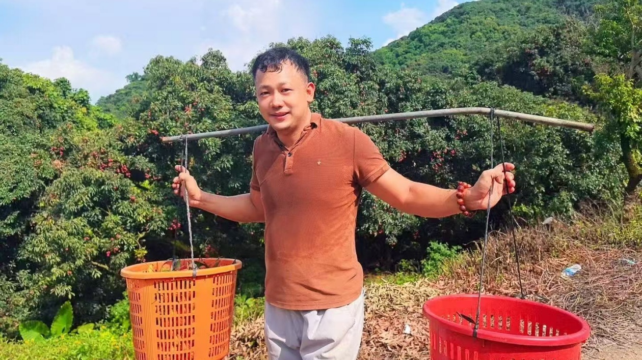 90後新農人邱梓煜：荔枝豐收，價格跳水，2025營收與往年持平