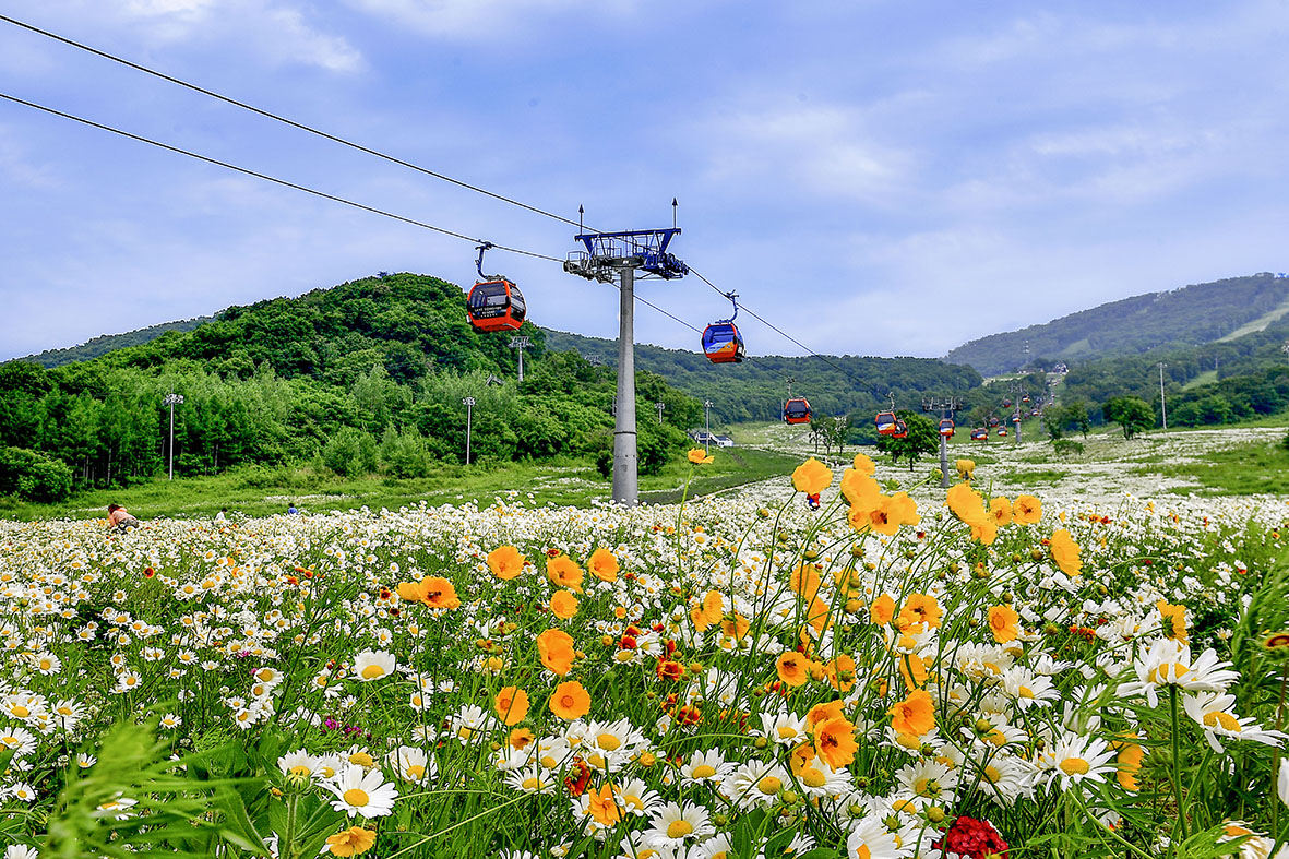 「星空之夏，悅享江城」吉林市2025消夏避暑露營季暨松花湖度假區第六屆青山花海露營季啟動！