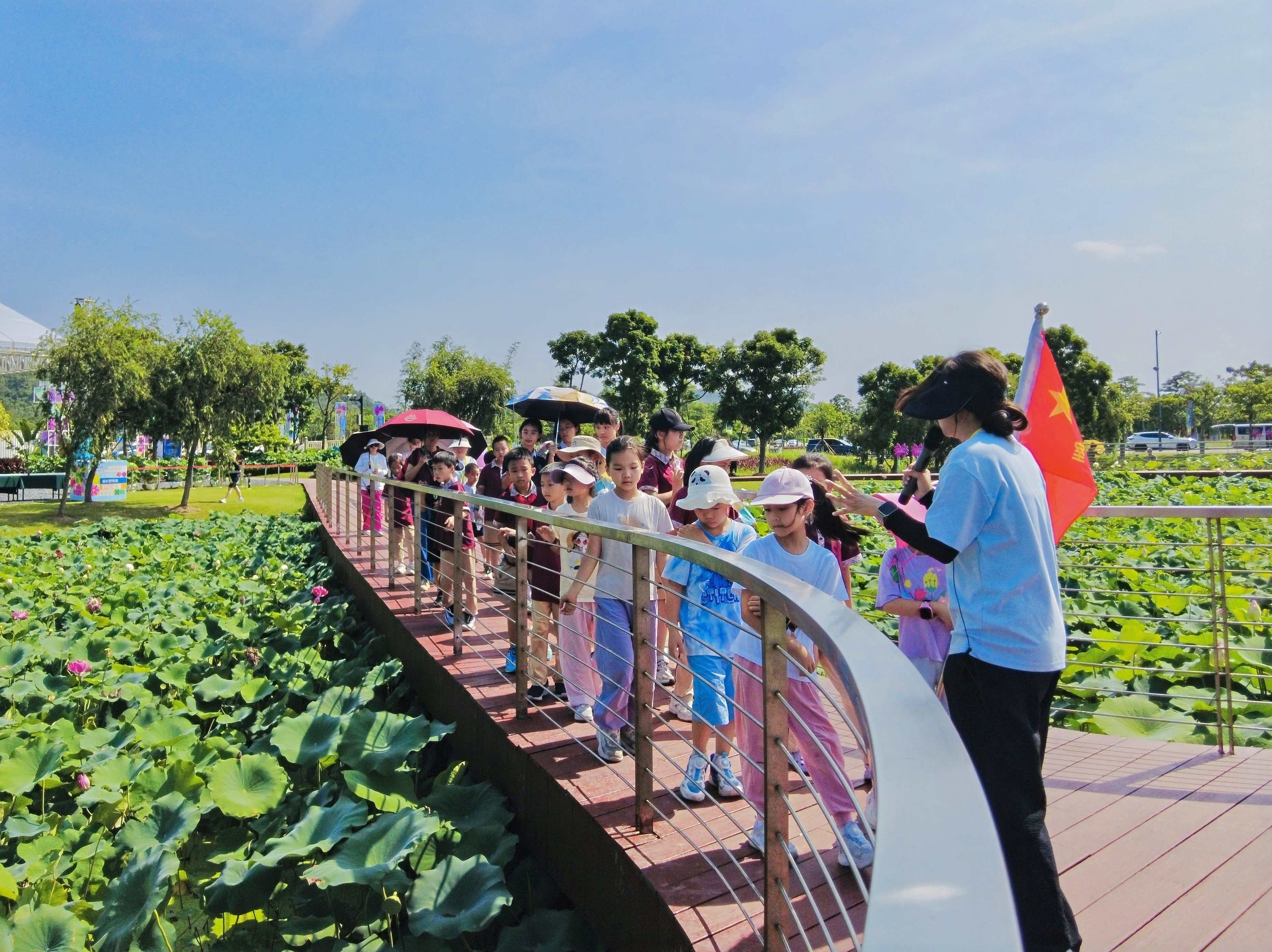 蓮彩聚琴澳 第三屆橫琴荷花節7月4日至18日亮相