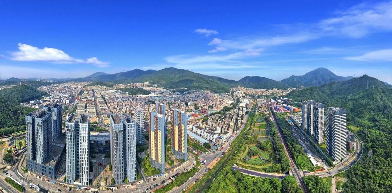 全市首張！龍崗園山企業「拿下」特醫食品許可證