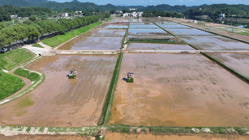 瘠土變良田 皖屯溪屯光鎮奏響鄉村振興「田園曲」