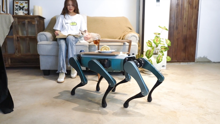 首推「機械臂+人形+六足」 越疆發布六足仿生機器狗