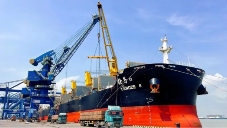 1.5萬噸中纖板首航阿爾及利亞，東莞港開通非洲新通道