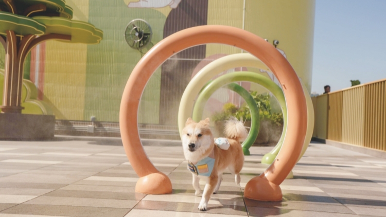 西沙GO PARK推《GO FUN夏水禮！》