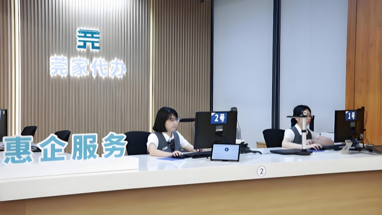 港澳居民享便利 東莞政務服務中心首設信用報告人工查詢專窗