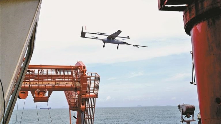 世界海事日 鵬城迎盛事