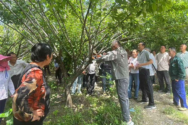 皖黟縣：「訪企入村」優作風 紓困解難促發展