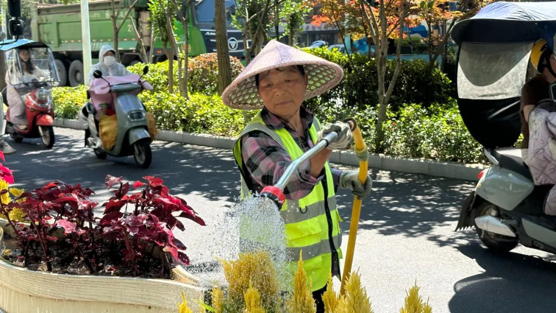 皖屯溪區：多措打響城市夏日「護綠戰」