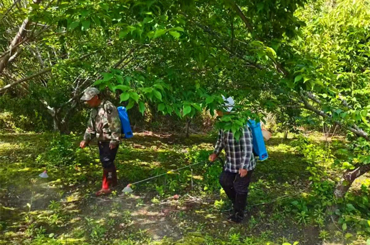 【港商觀察】皖黟縣西遞鎮：推行「積分制」  鄉村「智」理啟新篇