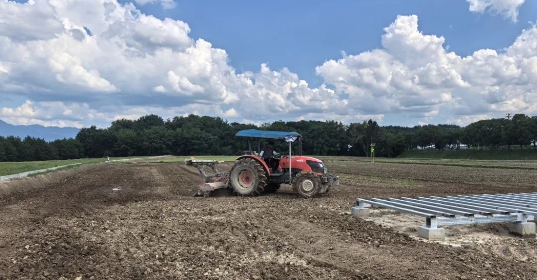 皖屯溪屯光鎮：「油菜+油葵」輪作 「空閒田」變成「增收田」