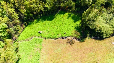 湖北恩施：藥農「觸網」 板黨「出圈」
