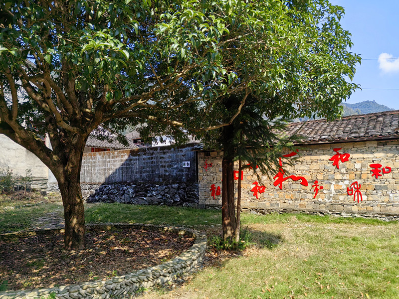 皖黟縣美溪：讓「紅色根系」深紮基層沃土