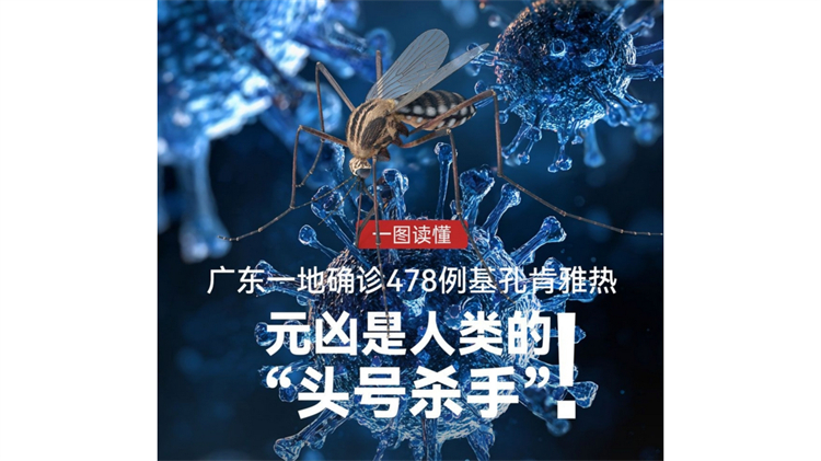 佛山確診478例基孔肯尼亞熱