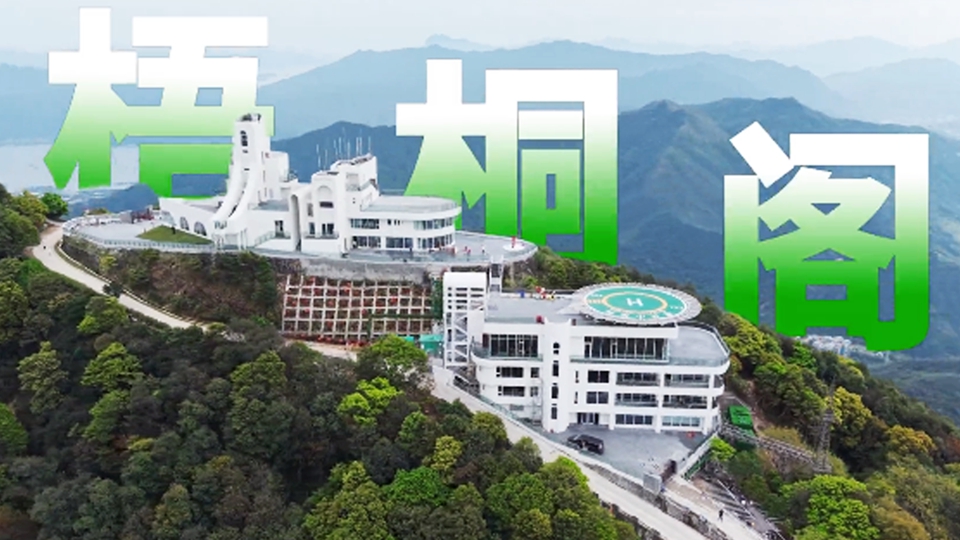 6分鐘縱貫繁華商圈至生態秘境 深圳梧桐山開通城市低空觀光新航線