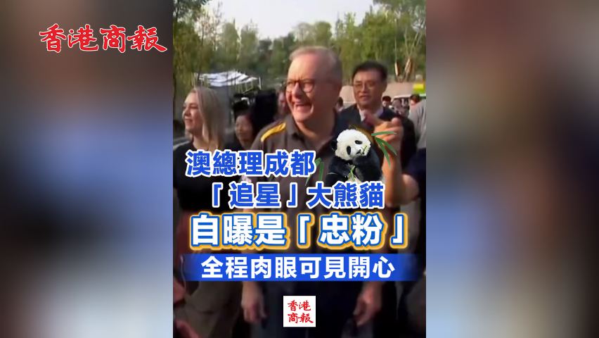 有片丨澳總理成都「追星」大熊貓 自曝是「忠粉」 全程肉眼可見開心