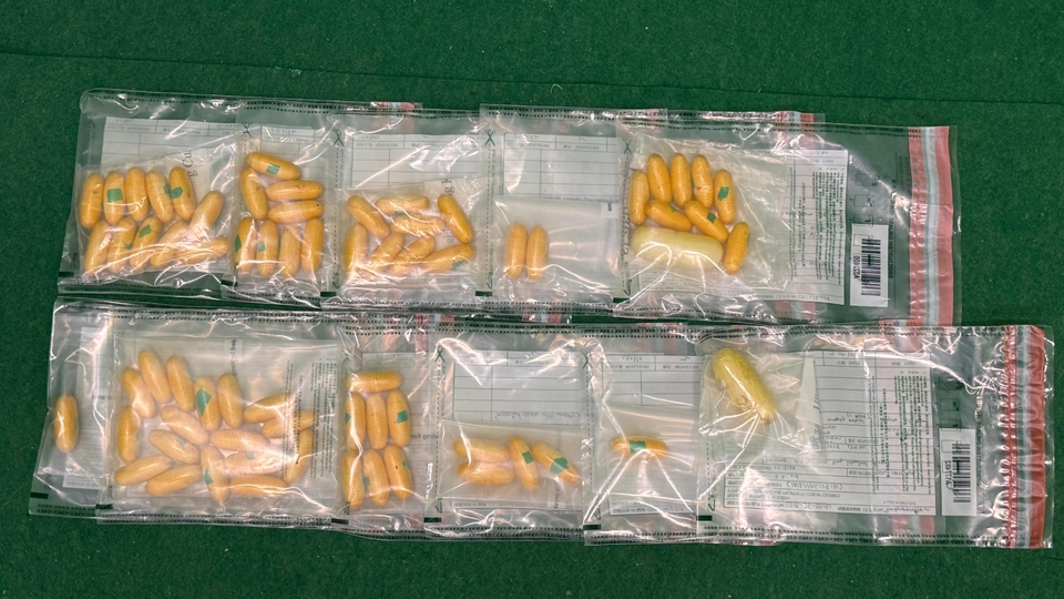 海關機場偵破2宗旅客販毒案 拘捕3名女子 檢值350萬元毒品