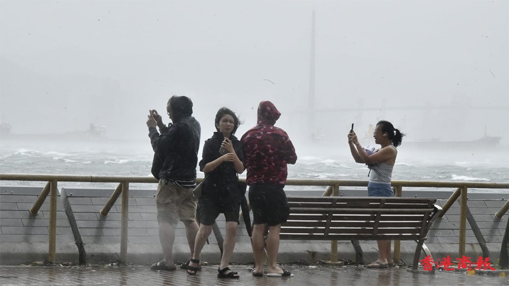 圖集｜「韋帕」襲港 市民海傍打卡拍照「追風」