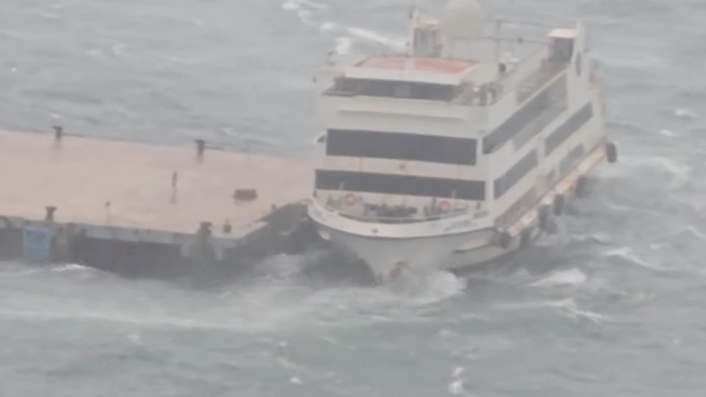 堅尼地城船隻撞碼頭 電視台採訪車被塌樹擊中