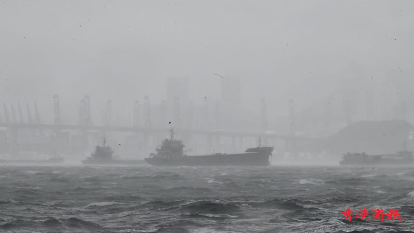 颱風「韋帕」襲港 為歷來第17個十號颶風信號