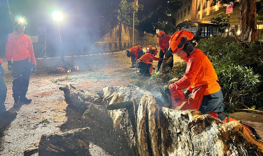 民安隊颱風期間動員清理水浸塌樹 協助社區復原