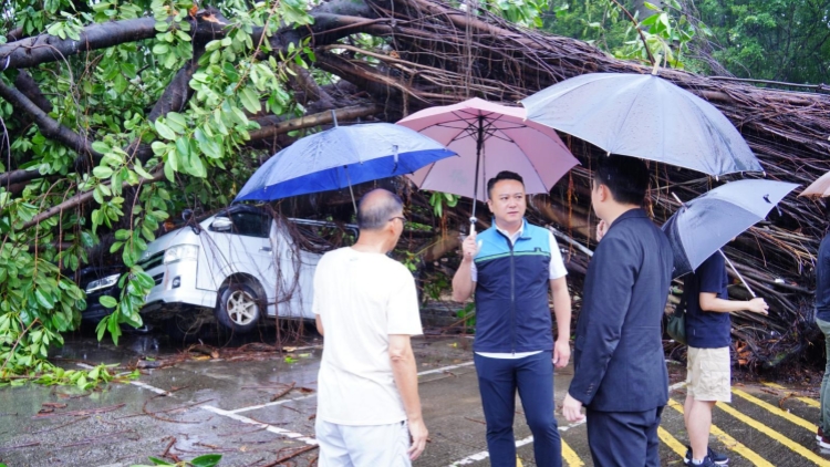 李世榮聯同政府各部門 跟進小瀝源村風暴期間塌樹事宜