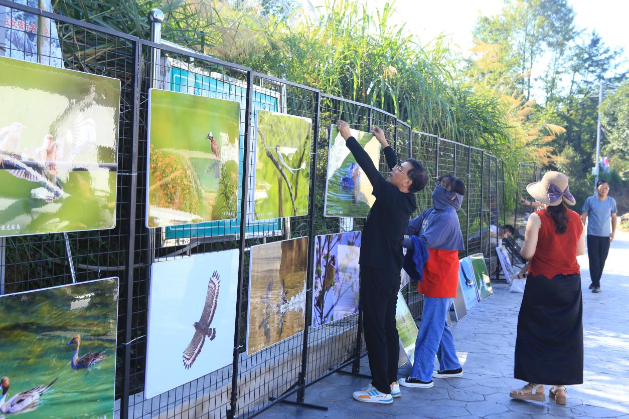 祁門鳥展籲共同參與生態保護