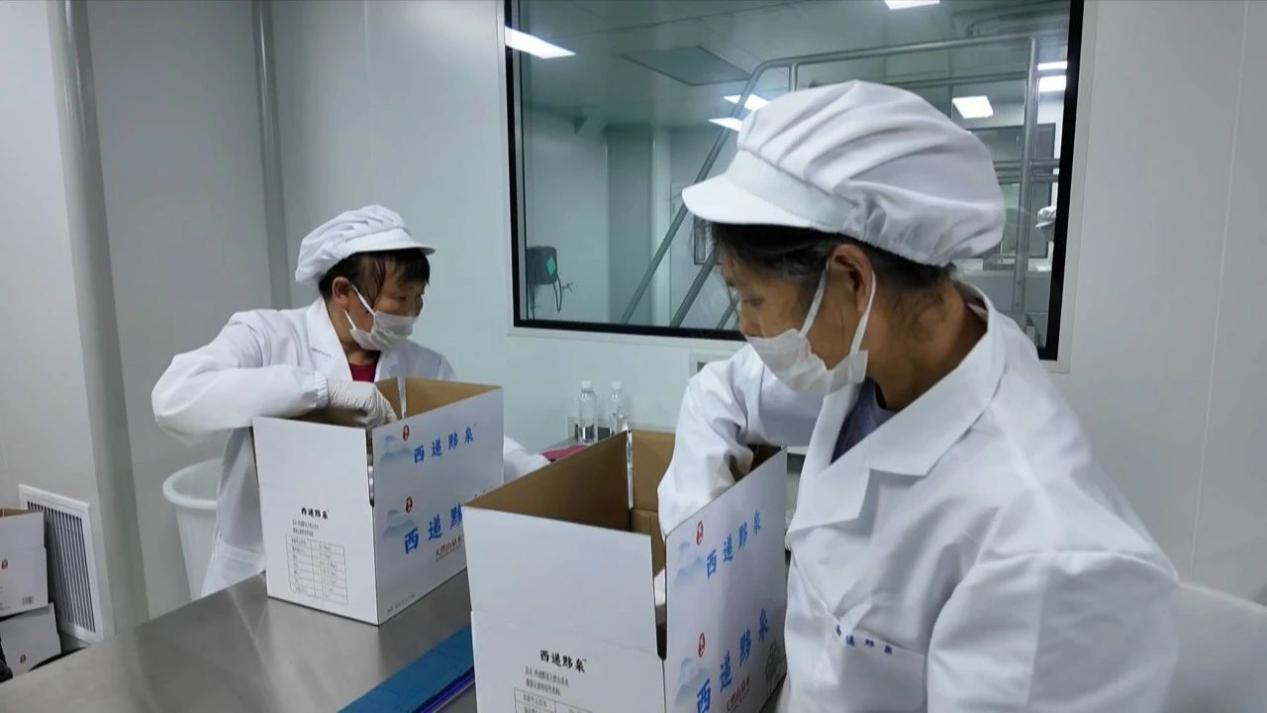 綠色產業活力奔涌皖黟縣「西遞黟泉天然山泉水」項目正式投產