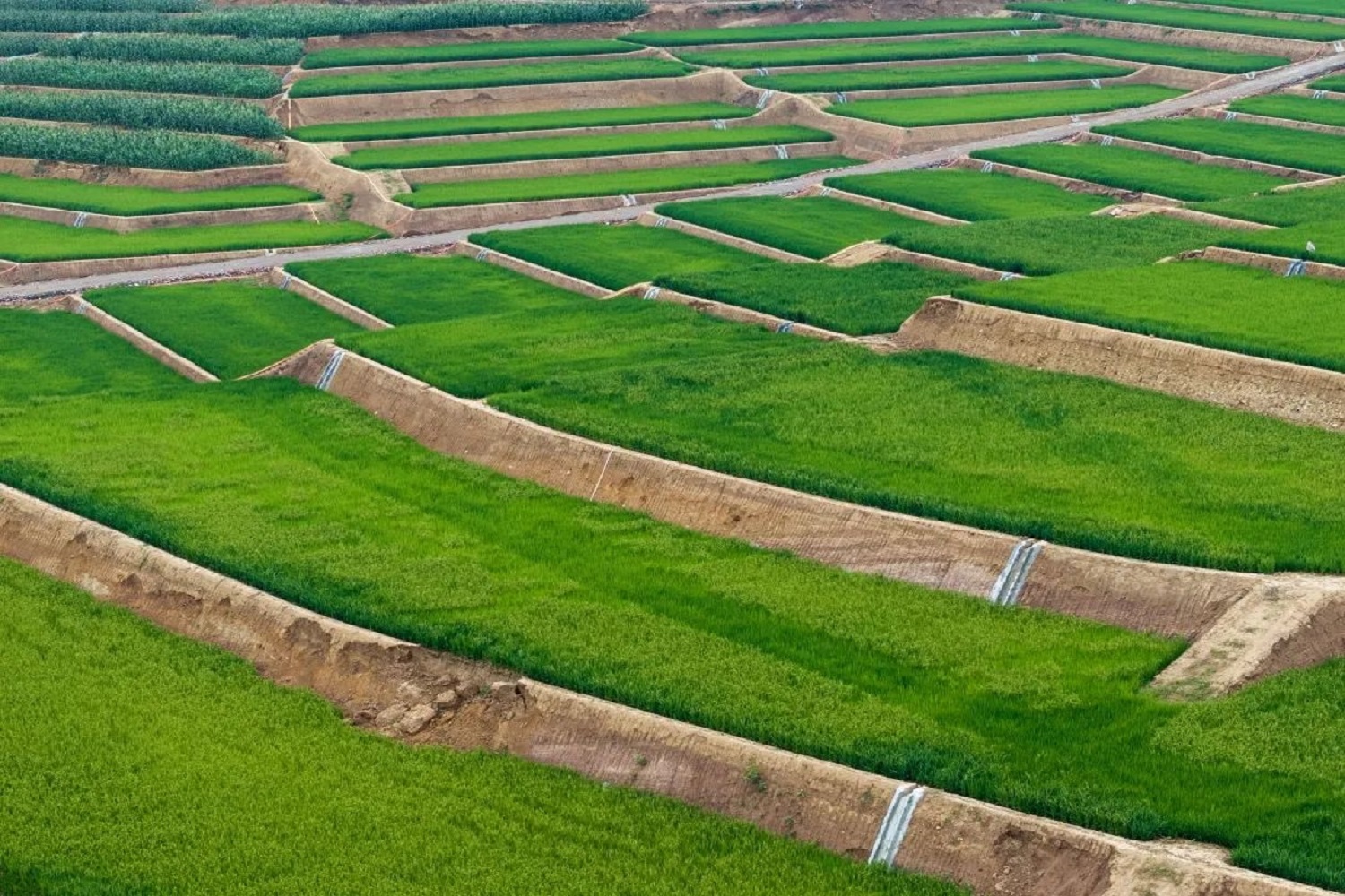示範引領 四川什邡師古鎮解碼城鄉融合發展「鎮」力量