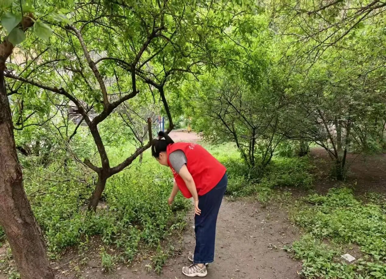 哈市香坊區新成街道開展禁毒宣傳活動 「雙線並進」築防線