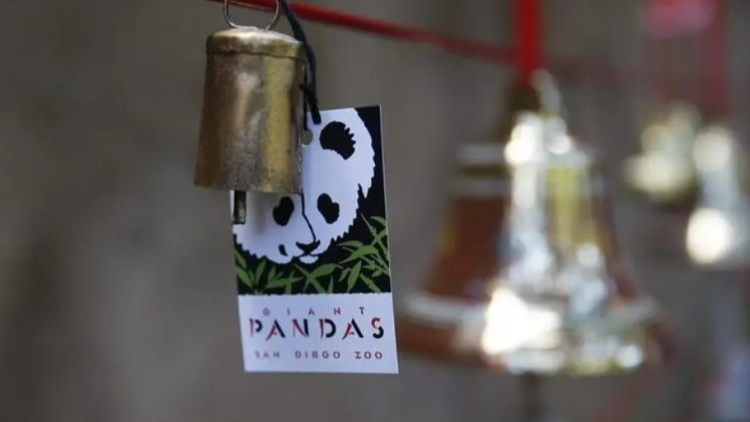 熊貓債券累計發行破萬億元人民幣