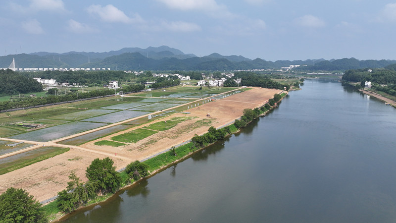 讓「荒灘」變「花海」 皖屯溪屯光巧繪「綠富同興」新圖景