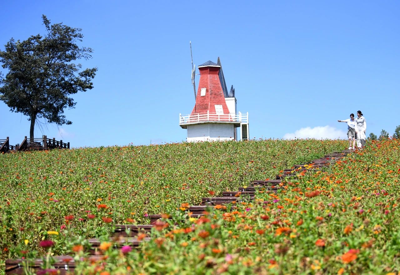 安徽巢湖尖山湖：花海織錦繡 碩果醉遊人