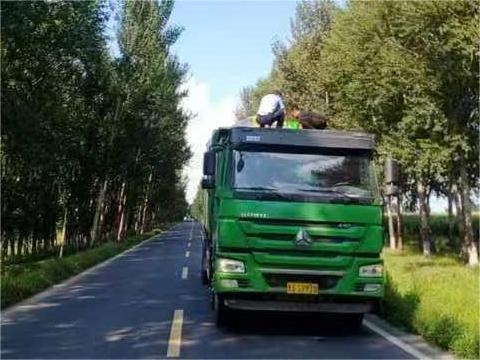 冰城公安：以劍盾護路暢 似春風暖迷途