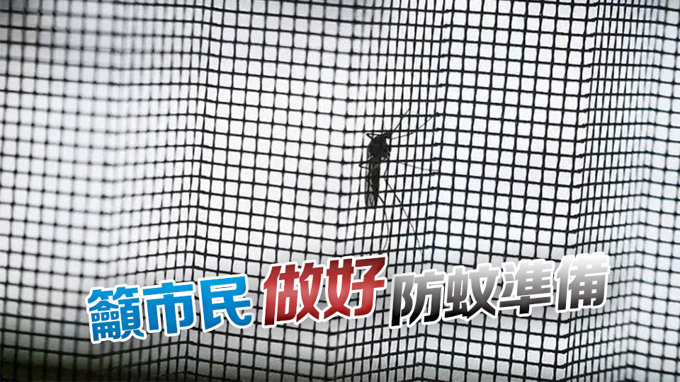 基孔肯尼亞熱大規模暴發 專家料本港輸入個案無可避免