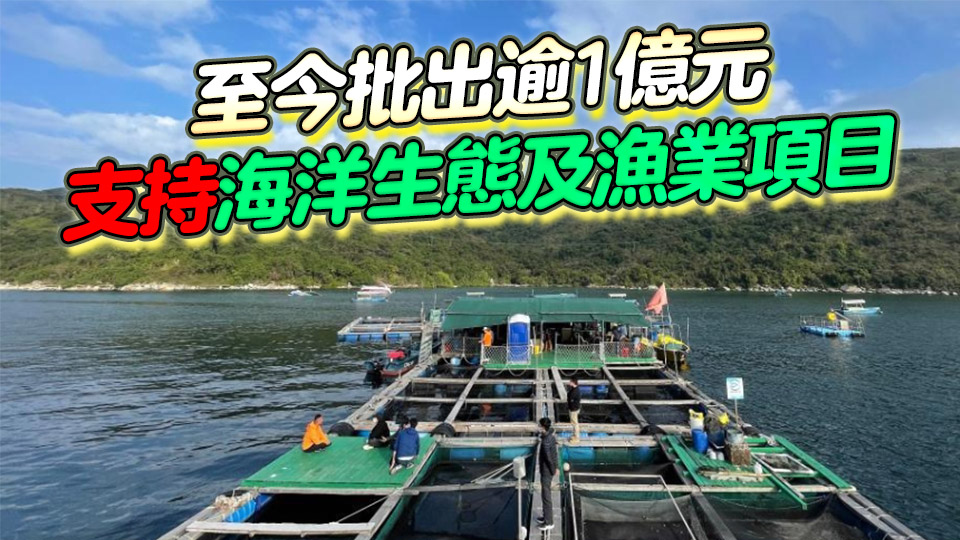 機管局兩獨立基金批出逾1600萬元 資助16項目提升海洋生態