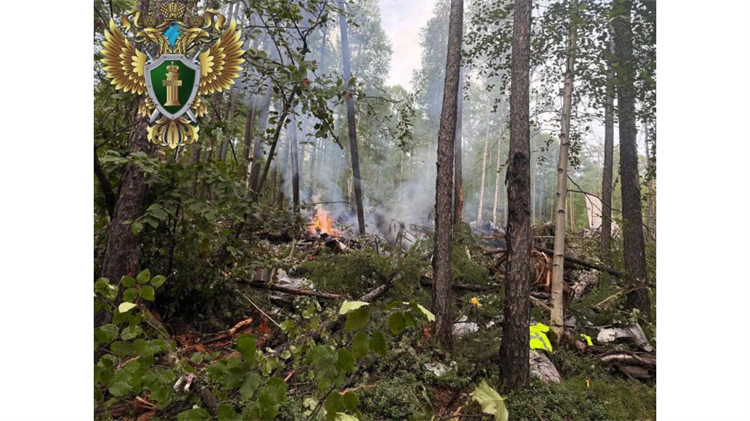 首批俄失事客機墜毀現場圖片公布