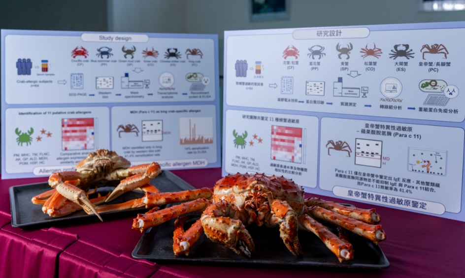 中大：11種與蟹過敏相關致敏原 皇帝蟹具獨有致敏原