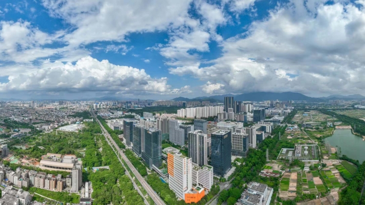 有片丨毗鄰港澳 國際化程度高 全國青年才俊聚深追夢