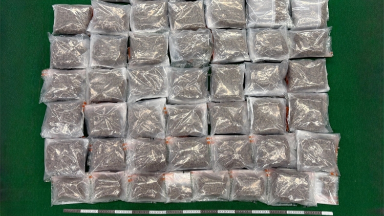 涉偷運約值880萬元大麻花入境 6名男女被捕